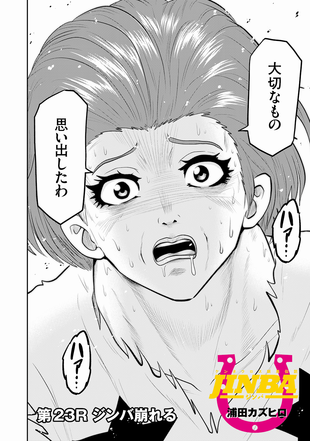 JINBA ジンバ 第23R