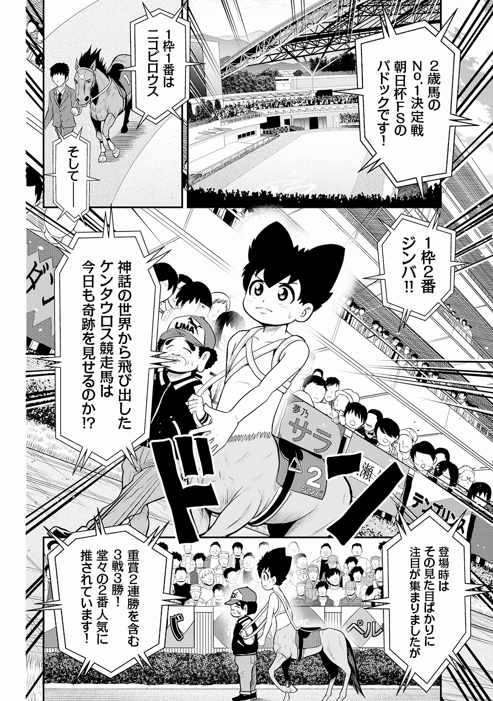 JINBA ジンバ 第25R